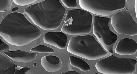 ����֪ʶ����������������̿����������������������������������